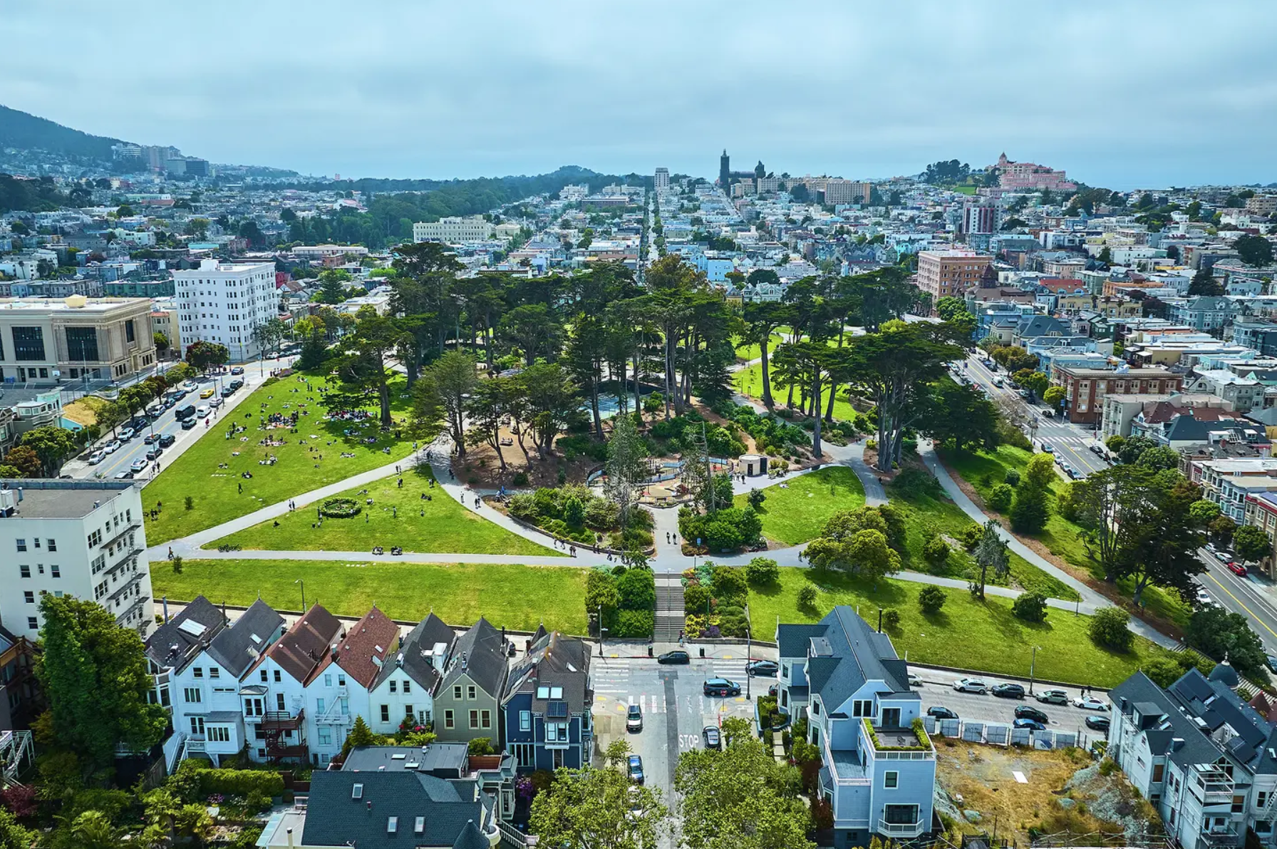 Did you know ASNA buys trees for Alamo Square Park?
